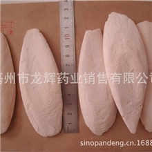 小片墨鱼骨漂白、打磨11cm