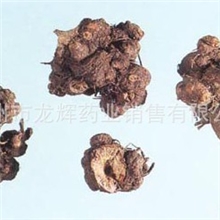 开金锁、苦荞头、金荞麦/冷背中药材