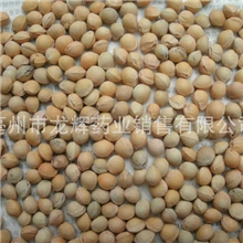 大量供应优质樱桃核、樱桃子