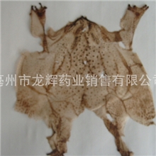 蟾衣、整张蟾衣/中药材、动物原药材