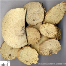 供应优质中药材川木通