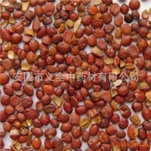 供应优质中药材酸枣仁