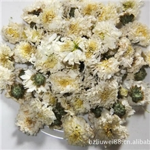 保健花茶菊花贡菊杭白菊各种规格