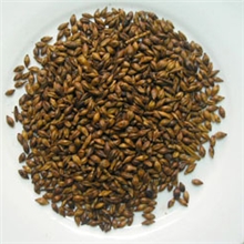 中药材批发决明子草决明孩子当沙子玩专决明子决明子产地