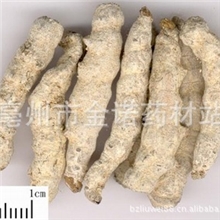 中药材批发供应优质僵蚕、僵蚕粉白僵蚕中药材