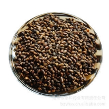 GSP长期供应批发中药材儿童玩沙决明子沙滩决明子进口决明子