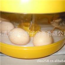 佳农牌高级科教孵化器