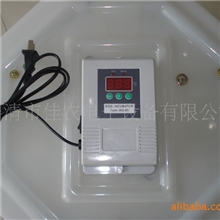 JN5-60小型孵化机，孵蛋器，高精度温控小型孵化器