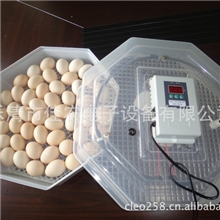 佳农5-60高品质孵化器