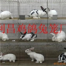 批发零售九门小兔笼