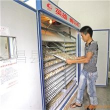 养鸡必备厂家直销优质供应小型珍禽特禽孵化机、孵化器自动化