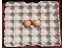 常年加工生产纸浆蛋托，塑料蛋托