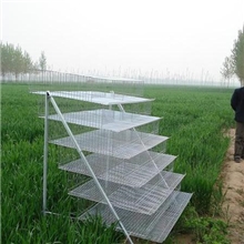 鹌鹑笼，小型笼