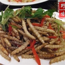 批发竹虫冷冻竹虫速冻竹虫云南竹虫产地批发酒店冻品特产供应