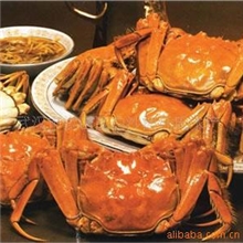 【品质厂家】供应优质江苏大闸蟹价格优惠（图）