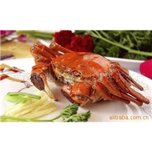【精品推荐】供应优质热卖螃蟹洪湖清水蟹