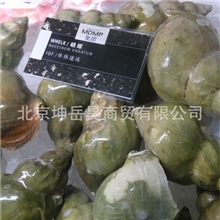 【新品展示】【蛾螺】又称【翡翠螺】WHELK