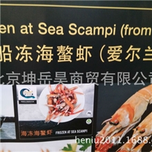 【新品上架】【爱尔兰螯虾】