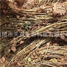 供应花生秧花生秧粉花生秧饲料