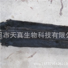 批发供应水貂皮（貂子、狸子、土狗、狗獾子）皮