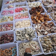 长期批发供应各种海产贝壳工艺品原料贝壳