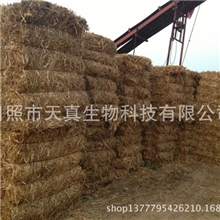 供应麦秸饲料，麦秆,麦根、麦草