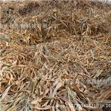 批发供应玉米秸秆颗粒饲料玉米秸玉米秸秆燃料玉米秸秆饲料
