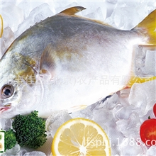 生态银雪鲳鱼500克/袋+黄花鱼500克/袋仅99元顺丰5元配送到家