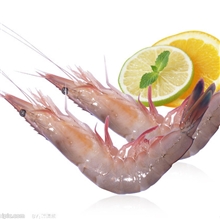 供应鲜活基围虾、大虾鲜活海鲜、冰鲜虎虾、虾类批发