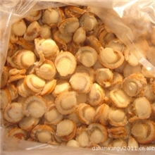 冻煮帆立贝夏夷贝裙边贝冻煮全贝