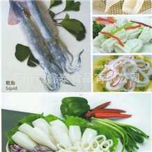厂家供应优质鱿鱼鱿鱼花批发海产品