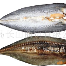【厂家直销】供应鲅鱼干水产品长岛鲅鱼