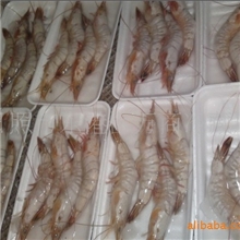新鲜海捕对虾新装上市