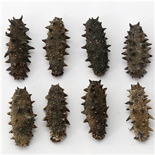 专供大连5-7年糖苷海参淡干海参野生无污染本网最低价格