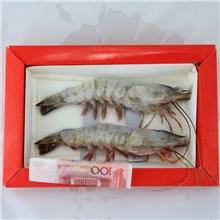 野生海虾两条大虾礼盒野生虾正宗进口海捕虾海鲜送礼新鲜对虾