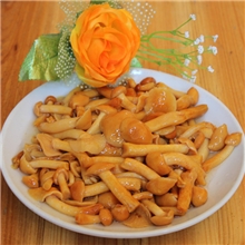 盐渍滑菇滑子蘑库恩菇一件起批50公斤桶装酒店餐馆菌汤用料