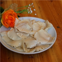 特级白菇批发北风菌白雪菇小白灵45公斤一桶酒店餐馆用食材