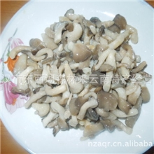 批发短姬菇盐渍丁丁菇44公斤桶装2-3厘米长酒店山珍菌汤必备
