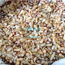 批发6-8MM天然尾巴珍珠可磨粉供佛