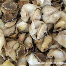 供应冻煮海螺头(图)
