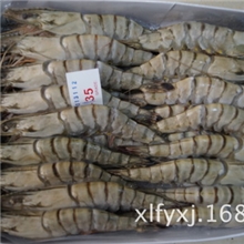 马来优质31-35草虾