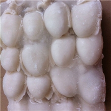 块冻目鱼仔20-40