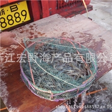 对虾南美白对虾明虾海鲜海水虾咸水虾活虾冻虾