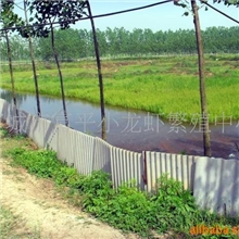 供应虾类\水产品\小龙虾\青虾\红虾(图)