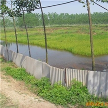 小龙虾水产公司、特种水产养殖、水产养殖龙虾