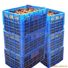 小龙虾种苗、鱼虾混养技术、湖北小龙虾、宜城大虾