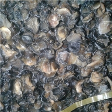 长年供应优质清水螺肉（田螺肉,石螺肉）