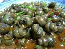 大量供应清水石螺