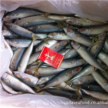 冷冻鲐鱼；冷冻鲐鲅鱼；冷冻青占鱼；pacificmackerel