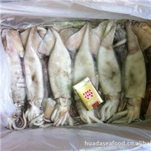 冷冻鱿鱼，片冻鱿鱼